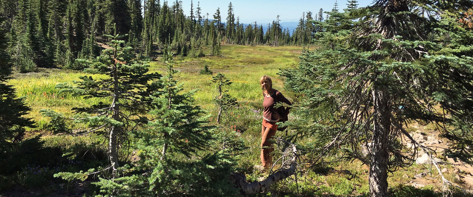 devi-panther-slider (1)